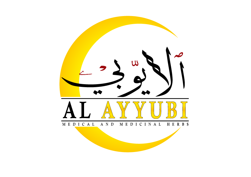 Logo Al Ayyubi Sendirian Berhad